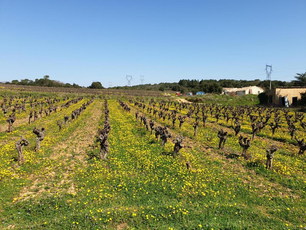 Saint-Gervais  Le Clos Soleilhan מראה חיצוני תמונה